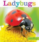 Seedlings: Ladybugs Cover Image