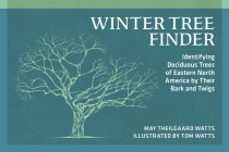 Winter Tree Finder: Identifying Deciduous Trees of Eastern North America by Their Bark and Twigs (Nature Study Guides) Cover Image