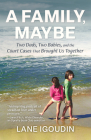 A Family, Maybe: Two Dads, Two Babies, and the Court Cases That Brought Us Together By Lane Igoudin Cover Image