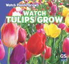 Watch Tulips Grow (Watch Plants Grow!) By Kristen Rajczak Nelson Cover Image
