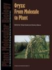 Oryza: From Molecule to Plant By Takuji Sasaki (Editor), Graham Moore (Editor) Cover Image