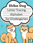 Trace Letters alphabet for kindergarten child's writing muscles: letter tracing for preschoolers, line tracing workbook, handwriting workbook kinderga Cover Image