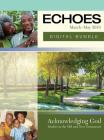 Echoes Adult Composition Digital One Class: Spring By David C. Cook Cover Image