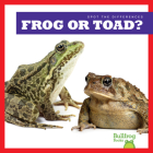 Frog or Toad? (Spot the Differences) By Jamie Rice, N/A (Illustrator) Cover Image