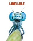 Libellule: Informations Etonnantes & Images Cover Image