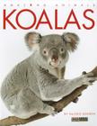 Amazing Animals: Koalas Cover Image