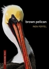 Brown Pelican Cover Image