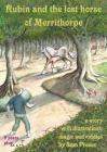 Rubin and the lost horse of Merrithorpe: A story with illustrations, magic and riddles Cover Image