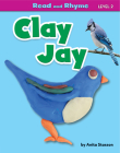 Clay Jay By Anita Stasson Cover Image