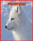 Polarfuchs: Lustige Fakten und erstaunliche Fotos von Tieren in der Natur By Annie Nichols Cover Image