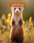 Weasel: Fun Facts Book for Kids with Amazing Photos Cover Image