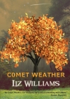 Comet Weather By Liz Williams Cover Image