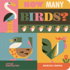 How Many Birds? By Marcos Farina, Marcos Farina (Illustrator), Little Gestalten (Editor) Cover Image