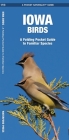 Iowa Birds: A Folding Pocket Guide to Familiar Species (Pocket Naturalist Guide) Cover Image