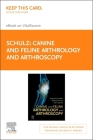 Canine and Feline Arthroscopy - Elsevier E-Book on Vitalsource (Retail Access Card) By Kurt Schulz, Sam Franklin, Antonio Pozzi Cover Image