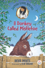 Jasmine Green Rescues: A Donkey Called Mistletoe By Helen Peters, Ellie Snowdon (Illustrator) Cover Image