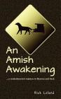 An Amish Awakening: a tenderhearted sojourn to Heaven and back Cover Image