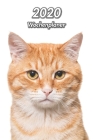 2020 Wochenplaner: Rote Getigerte Katze 107 Seiten, 15cm x 23cm ca. A5 Taschenkalender Terminplaner Tagebuch Terminkalender Organizer für By Katzentagebuch Welpentagebuch Xlpress Cover Image