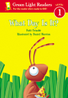What Day Is It? (Green Light Readers Level 1) By Alex Moran, Daniel Moreton (Illustrator) Cover Image