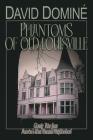 Phantoms of Old Louisville: Ghostly Tales from America's Most Haunted Neighborhood By David Domine Cover Image