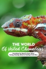 The World Of Veiled Chameleon Everything You Need To Know About Caring, Housing, Behavior Feeding & Lots More: Veiled Chameleon Caring Book Cover Image