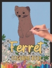 Ferret Coloring Book: A Cute Adult Coloring Book with Beautiful and Relaxing Ferret Designs, Mandalas, Flowers, Patterns And So Much More. f Cover Image