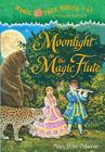 Moonlight on the Magic Flute Cover Image