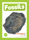 Fossils By Kirsty Holmes Cover Image