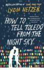 How to Tell Toledo from the Night Sky: A Novel By Lydia Netzer Cover Image