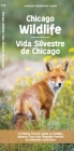 Chicago Wildlife/Fauna de Chicago: A Folding Pocket Guide to Familiar Animals/Una Guia Plegable Portatil de Animales Conocidas (Pocket Naturalist Guide) By Raymond Leung (Illustrator), Waterford Press (Created by) Cover Image