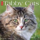 Just Tabby Cats 2021 Wall Calendar Cover Image