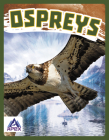 Ospreys By Connor Stratton Cover Image