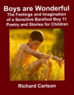 Boys are Wonderful: The Feelings and Imagination of a Sensitive Barefoot Boy 11: Poetry and Stories for Children Cover Image