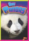 Baby Pandas (Adorable Animals) By Deanna Caswell Cover Image