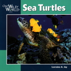 Sea Turtles (Our Wild World) By Lorraine A. Jay, John F. McGee (Illustrator) Cover Image