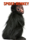 Spider Monkey: Amazing Facts about Spider Monkey By Devin Haines Cover Image