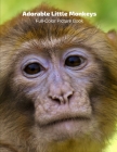 Adorable Little Monkeys Full-Color Picture Book: Animals Photography Book Cover Image