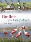 Birdlife of the Gulf of Mexico (Harte Research Institute for Gulf of Mexico Studies Series, Sponsored by the Harte Research Institute for Gulf of Mexico Studies, Texas A&M University-Corpus Christi) Cover Image