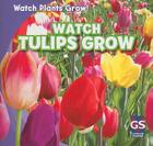 Watch Tulips Grow (Watch Plants Grow!) By Kristen Rajczak Nelson Cover Image