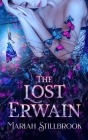 The Lost Erwain Cover Image