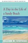A Day in the Life of a Sandy Beach Cover Image