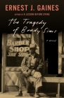 The Tragedy of Brady Sims (Vintage Contemporaries) Cover Image