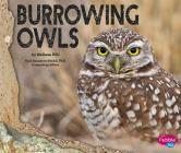 Burrowing Owls By Gail Saunders-Smith (Consultant), Melissa Hill Cover Image