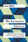 The Encounter / Susret - A Croatian Mini Novel With Vocabulary Section (C1 / Advanced High) Cover Image