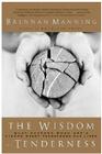 The Wisdom of Tenderness: What Happens When God's Fierce Mercy Transforms Our Lives Cover Image