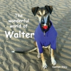 The wonderful world of Walter By Derren Riley Cover Image