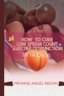How to Cure Low Sperm Count and Erectile Dysfunction in 14days By Promise Angel Reigns Cover Image