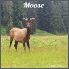 Moose 2021 Calendar: Official ELK Moose Calendar 2021 By Today Wall Calendrs 2021 Cover Image
