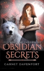Obsidian Secrets By Garnet Davenport Cover Image