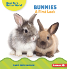 Bunnies: A First Look By Anna Anderhagen Cover Image